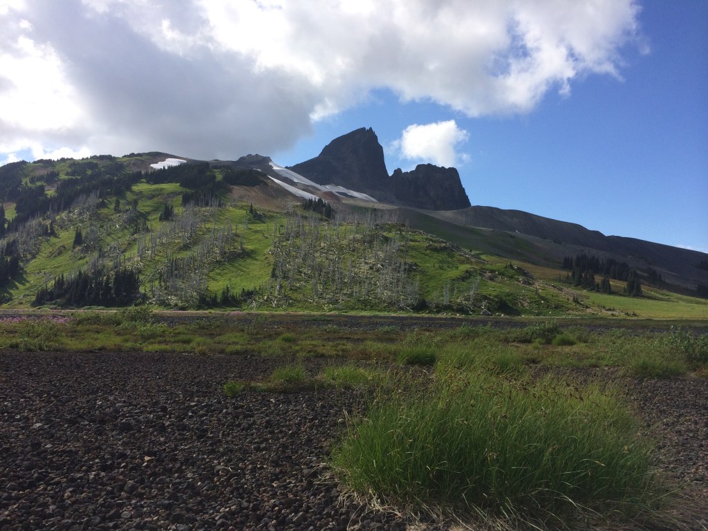 Cinder Flats in the foreground with Black Tusk overhead