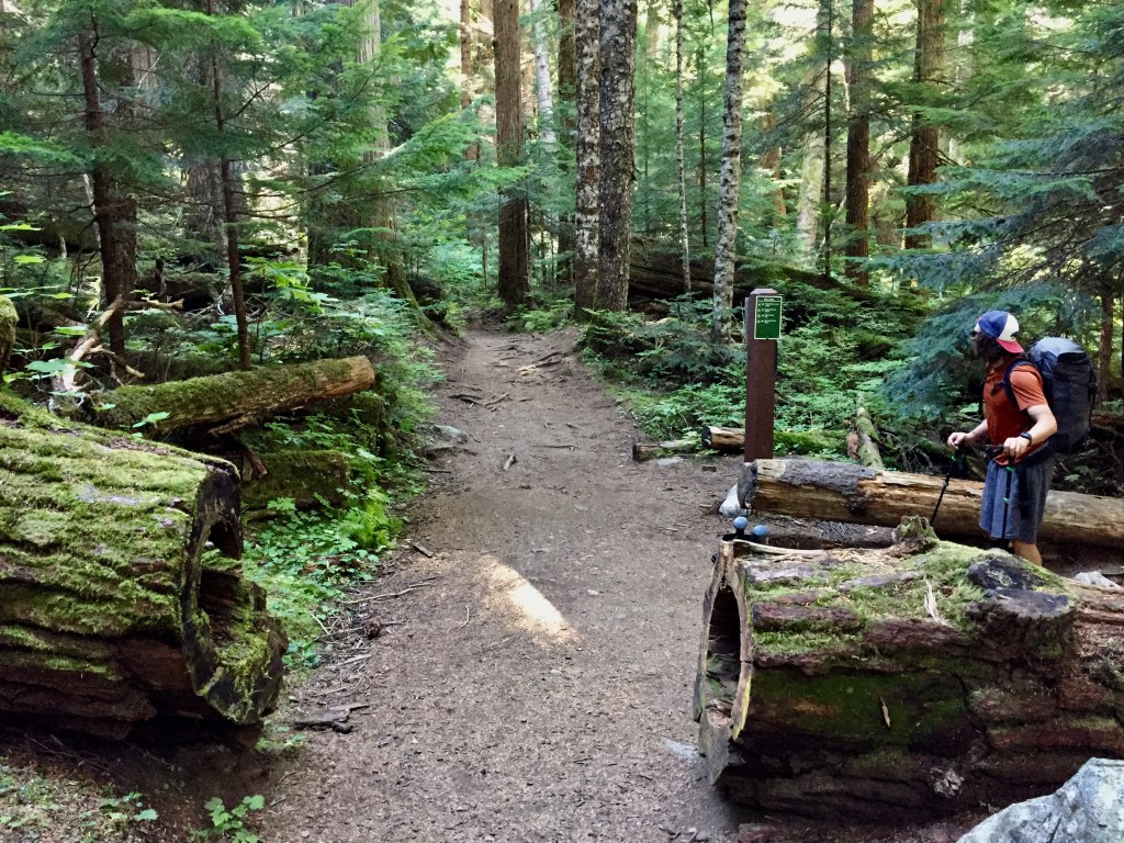 Straight to Cheakamus Lake, R to Helm Creek Campground and Cinder Flats